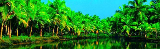 Chaandhni Lake View Hotel Alappuzha Exterior foto